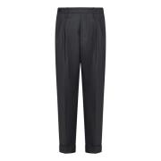 Grijze Geplooide Broek Aw24 Michael Coal , Gray , Heren