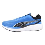 Scend Pro Sneakers Puma , Blue , Heren