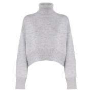 Grijze Wol Turtleneck Sweater Italië Dondup , Gray , Dames