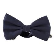 Sapphire Blue Silk Bow Tie Dolce & Gabbana , Blue , Heren