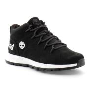 Sneakers Timberland , Black , Heren