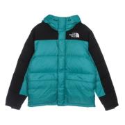 Groene Dons Parka Jas The North Face , Green , Heren