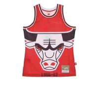 Chicago Bulls Basketbal Tanktop Mitchell & Ness , Red , Heren