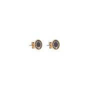 Iconische Medaillon Studs Marc Jacobs , Yellow , Dames