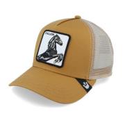 Stallion Truckerpet Goorin Bros , Beige , Unisex