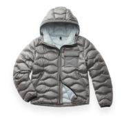 Eco Bryant Puffer Jacket Blauer , Gray , Heren