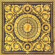 Pre-owned Silk scarves Versace Pre-owned , Multicolor , Dames