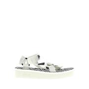 Stijlvolle Sneakers voor Stedelijke Avonturen Palm Angels , White , Da...