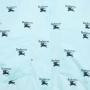 Pre-owned Cotton tops Burberry Vintage , Blue , Dames