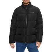 Gewatteerde Winterjas met Hoge Kraag Richmond , Black , Heren