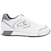 Lage Man Leren Sneakers Wit/Grijs Alberto Guardiani , White , Heren