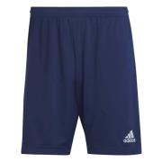 Ent22 Shorts Adidas , Blue , Heren