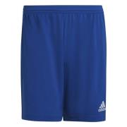 Korte broek Adidas , Blue , Heren