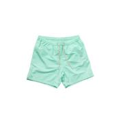 Basic Embro Zwemshorts MC2 Saint Barth , Green , Heren