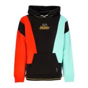 Basketbalveld Print Hoodie Pullover Puma , Multicolor , Heren