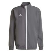 Entrada 22 Jas Adidas , Gray , Heren