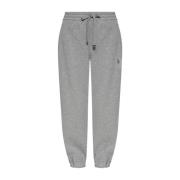 Grijze Stijlvolle Broek Alexander McQueen , Gray , Dames