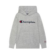 Geborduurde Script Logo Hoodie Champion , Gray , Heren