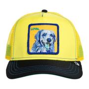 Multikleurige Pet - Loyal Stijl Goorin Bros , Yellow , Heren