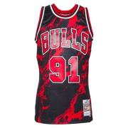 Zwarte Doodle Swingman Jersey Mitchell & Ness , Multicolor , Heren