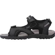 Heren Platte Sandalen Geox , Black , Heren