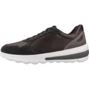 Sneakers Spherica Actif Geox , Brown , Heren