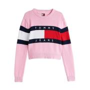 Color Block Trui met Ronde Hals Tommy Jeans , Pink , Dames