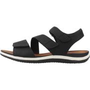 Vega Platte Sandalen Geox , Black , Dames