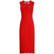 Rode Kant Midi Jurk Dolce & Gabbana , Red , Dames