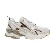 Goud Speedster Damesschoenen Steve Madden , Gray , Dames