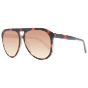 Bruine Aviator Zonnebril Guess , Brown , Heren