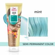 Wella Professionals Care Color Fresh Semi-Permanent Colour Mask - Mint...