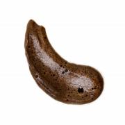 Coco en Eve Bali Bronzerschuim (Verschillende Tinten) - Ultra Dark