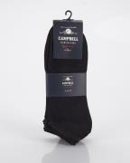 Campbell Classic Enkelsokken 4-pack