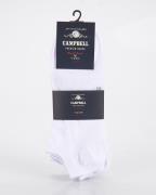 Campbell Enkelsokken 4-pack