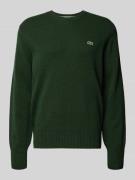 Regular fit gebreide pullover van pure wol