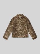 Jack met platte kraag