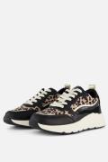 Cellini Leopard Sneakers zwart Textiel