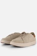Timberland Emerson Street Sneakers taupe Leer