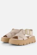 Gabor Sandalen beige Suede