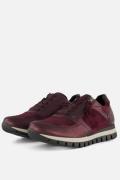 Gabor Sneakers rood Suede
