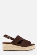Cellini Sandalen bruin Suède