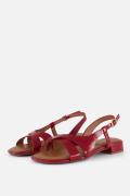 Tamaris Sandalen rood Synthetisch