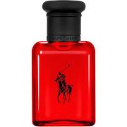 Ralph Lauren Polo Red EdT 40 ml