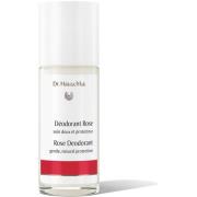 Dr. Hauschka Rose Deodorant 50 ml