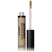 Sandstone Hide & Blend Concealer N55