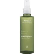 AVEDA Botanical Kinetics Toning Agent Dry/Normal  150 ml