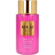 KOLAI Repair & Care Shampoo 250 ml