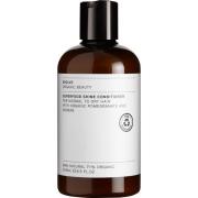 Evolve Superfood Shine Conditioner 250 ml