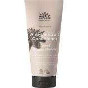 Urtekram Start Over Anti-Dandruff Sweet Ginger Flower Conditioner